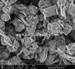 40um titanium Silicalite 1 Zeolietkatalysators CAS 1318 02 1